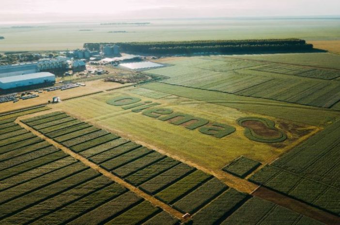 destaque-home-oilema-1